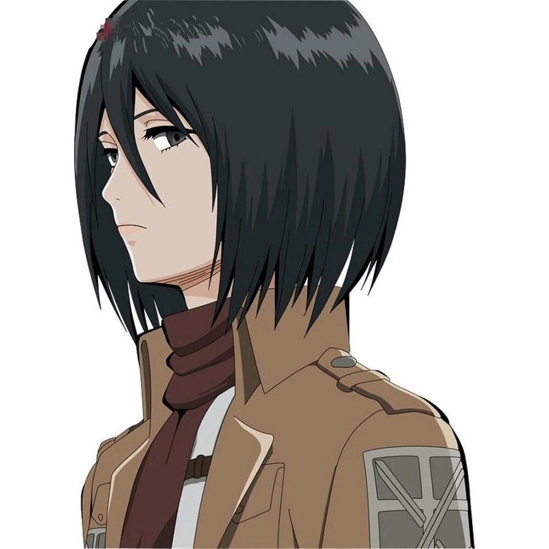 Avatar Mikasa là như thế nào thu hút fan