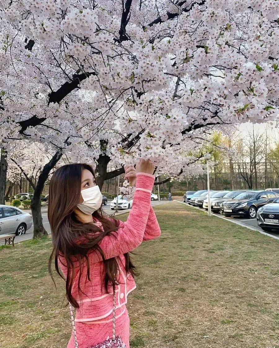 Ảnh gái xinh tóc dài đẹp che mặt thướt tha trong nắng chiều