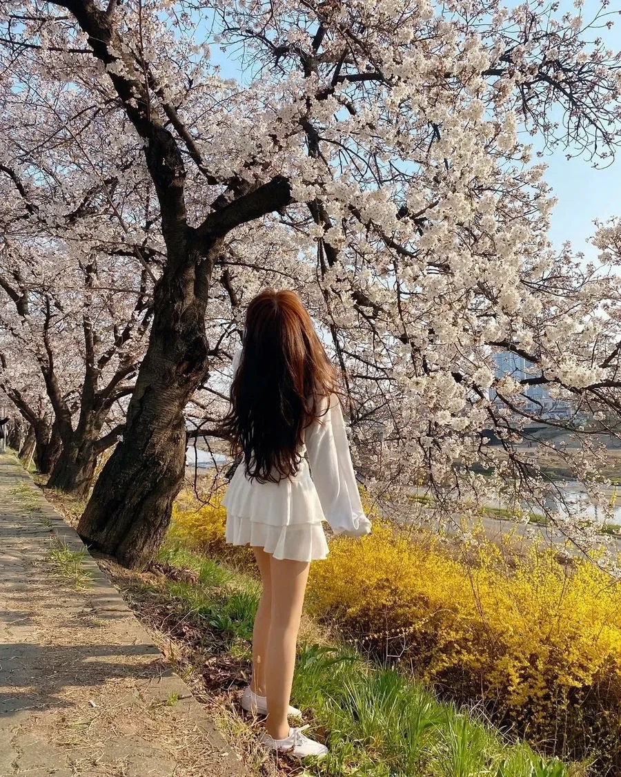 Hình ảnh gái đẹp tóc dài che mặt đầy thơ mộng và lãng mạn