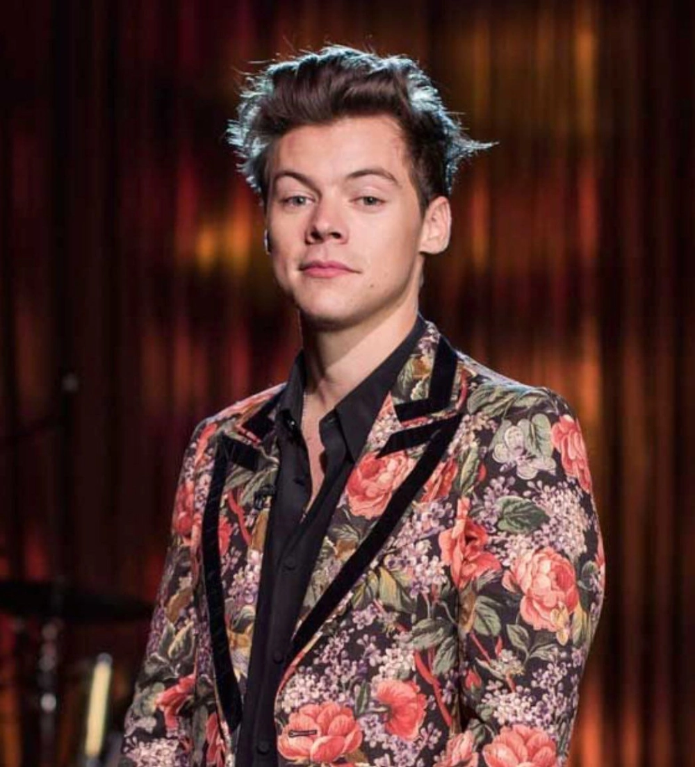 Harry Styles girlfriend mối quan hệ gây tò mò công chúng