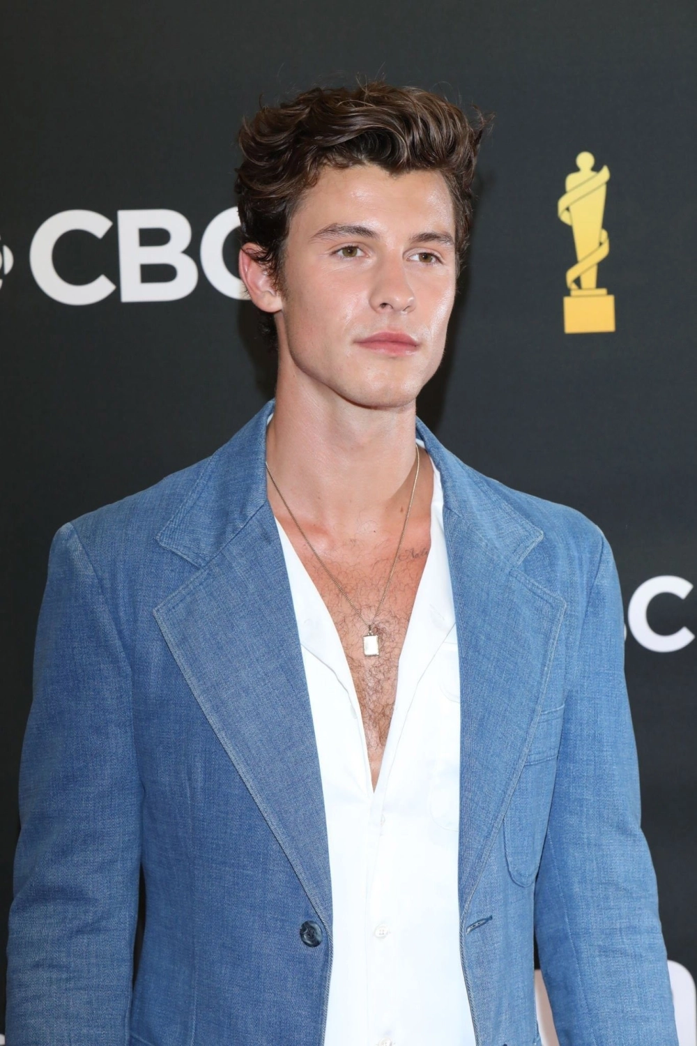 Shawn Mendes songs tuyển tập hit đình đám toàn cầu