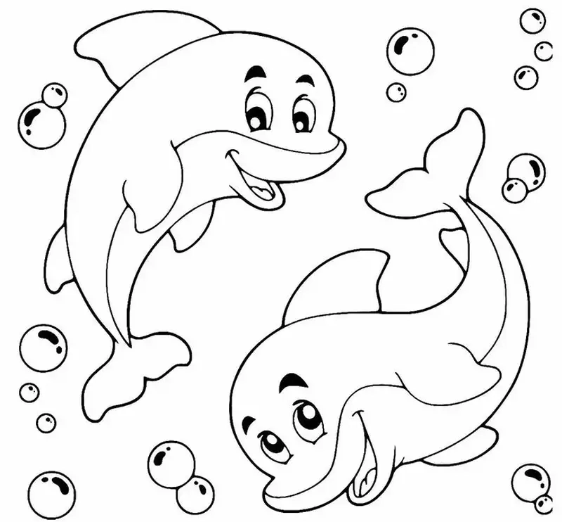 Tranh tô màu cá heo là như thế nào