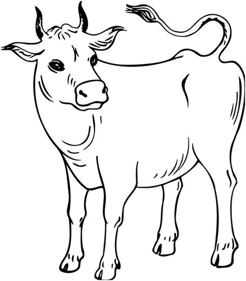 Khám phá sắc màu vui nhộn với hình ảnh con bò cho bé tô màu