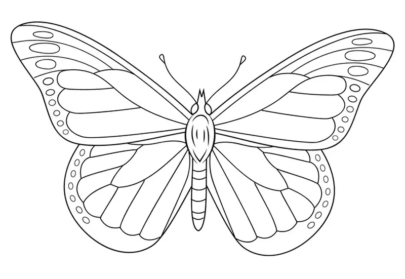 Tranh tô màu bướm mang đến phút giây thư giãn