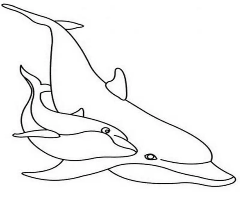 Học về đại dương qua tranh tô màu con cá voi