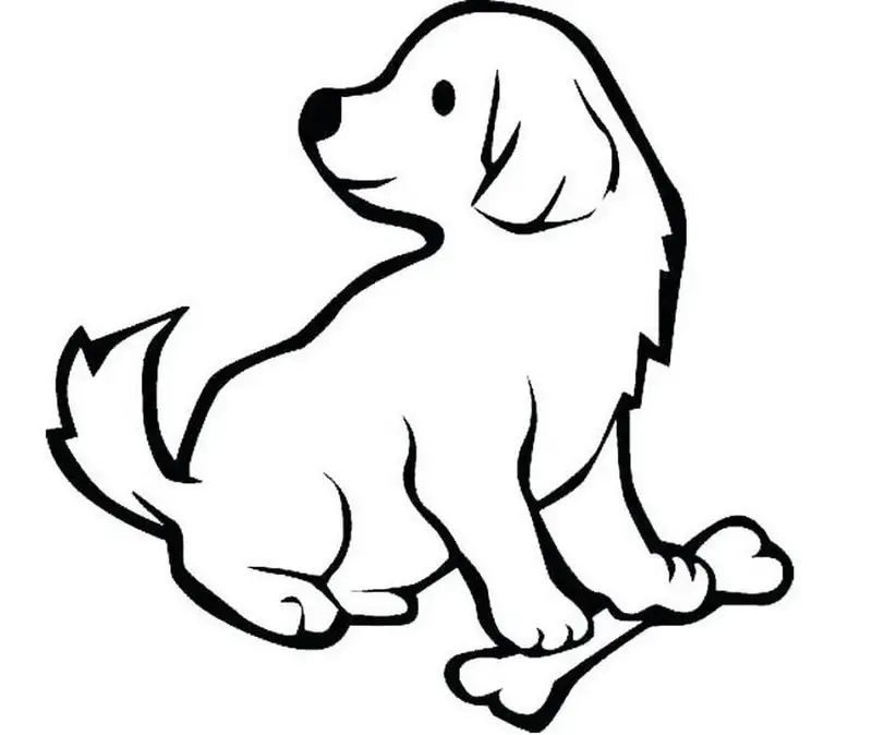 Khám phá tranh to màu con chó cute siêu dễ thương