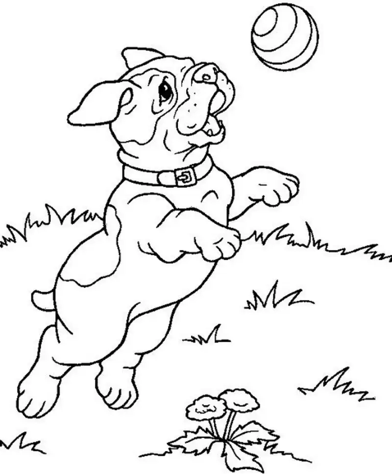 Giúp bé phát triển sáng tạo với tranh tô màu con chó cho bé