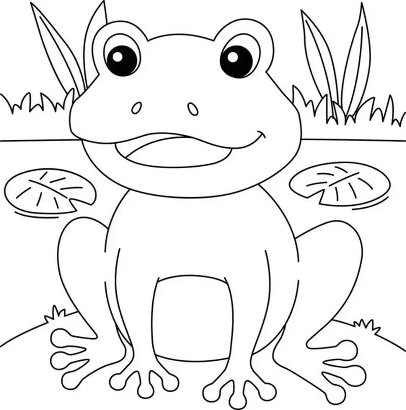 Vui học cùng con ếch tô màu mỗi ngày thêm thú vị