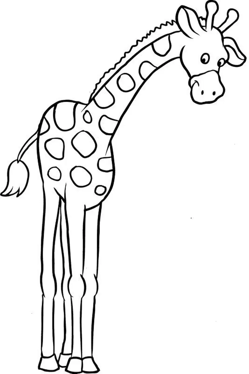 Tận hưởng niềm vui học tập cùng hình ảnh con hươu cao cổ tô màu