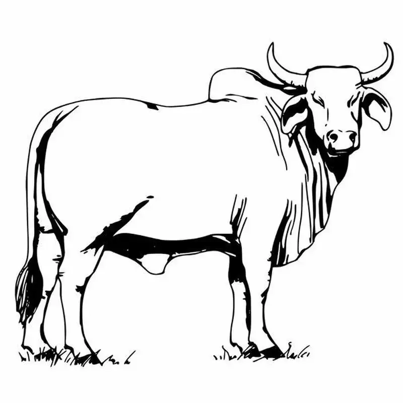 Bé học vẽ vui vẻ cùng vẽ con trâu tô màu đáng yêu