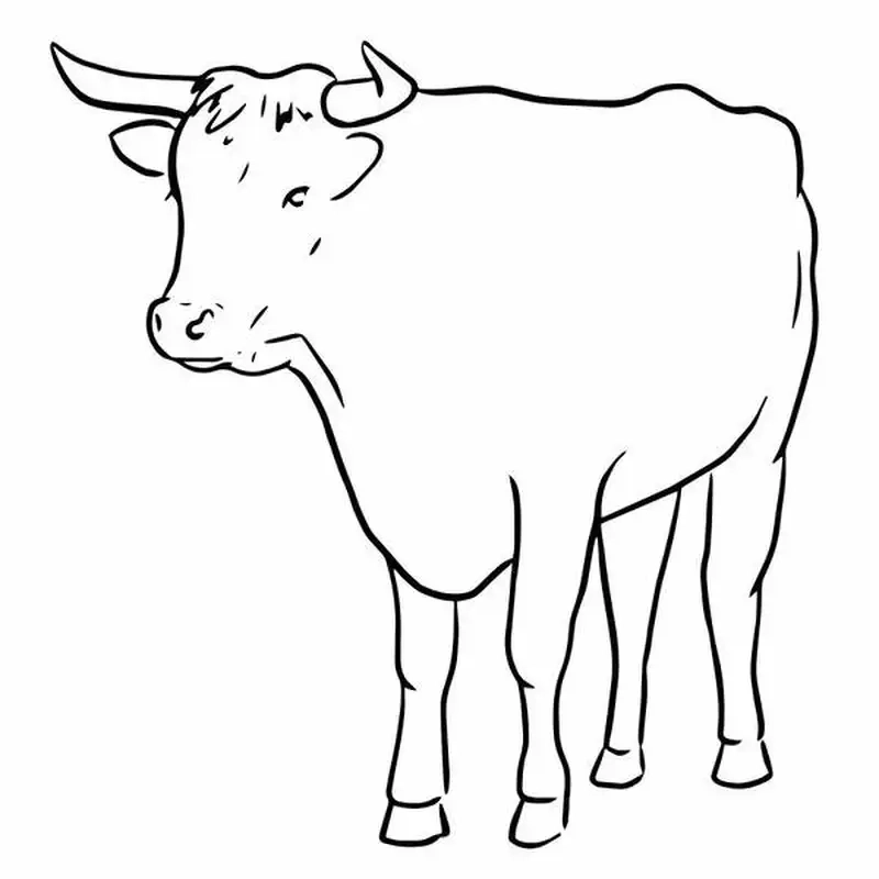 Thỏa sức sáng tạo với tô màu con trâu sinh động cho bé