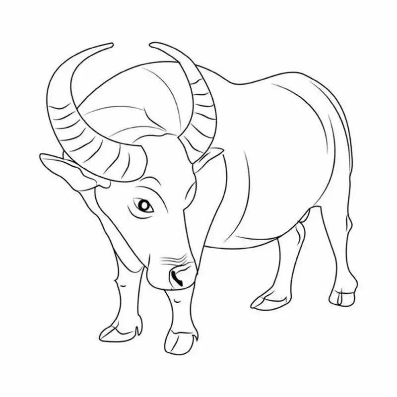 Bé thỏa sức sáng tạo với hinh vẽ con trâu sinh động và dễ tô