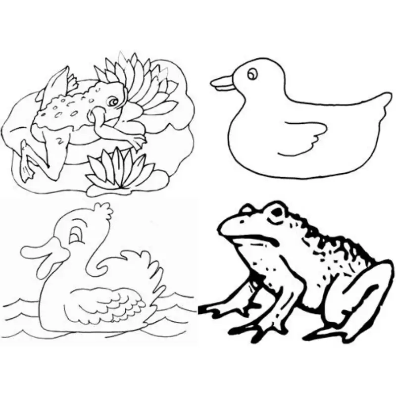 Tô màu con vật sống dưới nước vui nhộn giúp bé khám phá đại dương