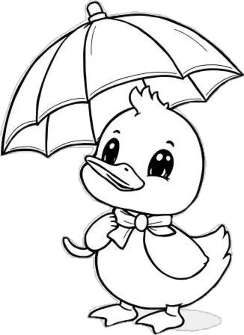 Tranh tô màu con vịt là như thế nào