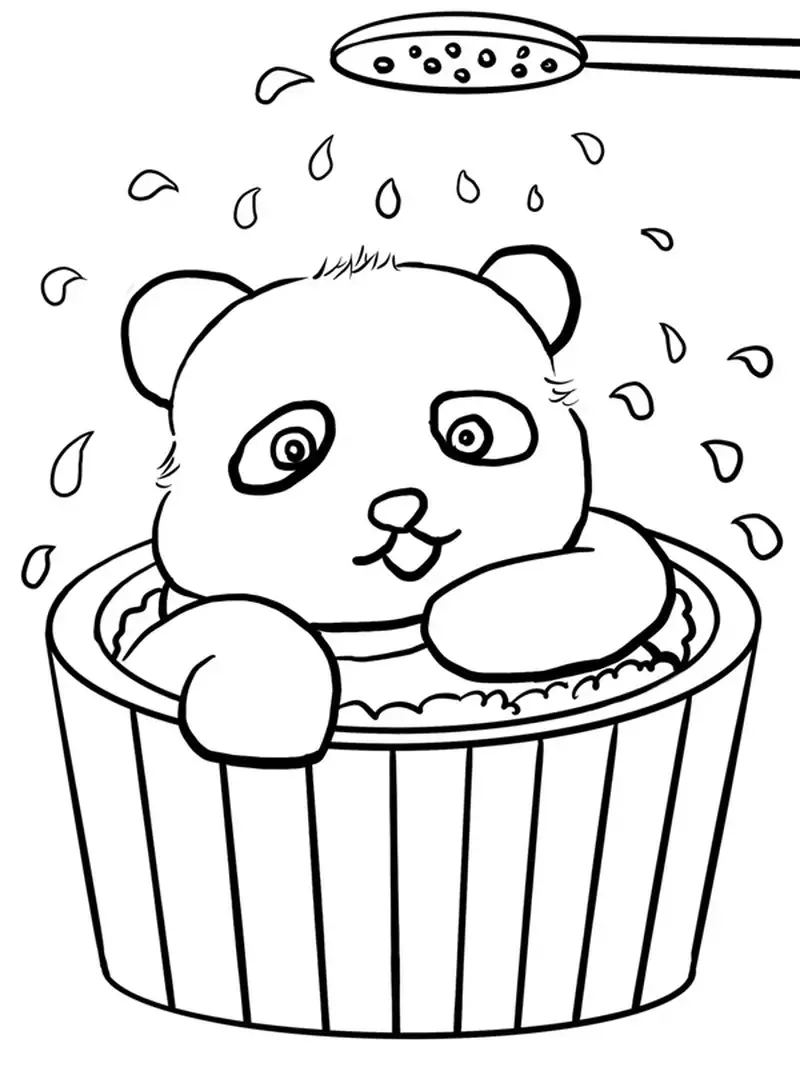 Con gấu tô màu đầy màu sắc cho bé khám phá thế giới