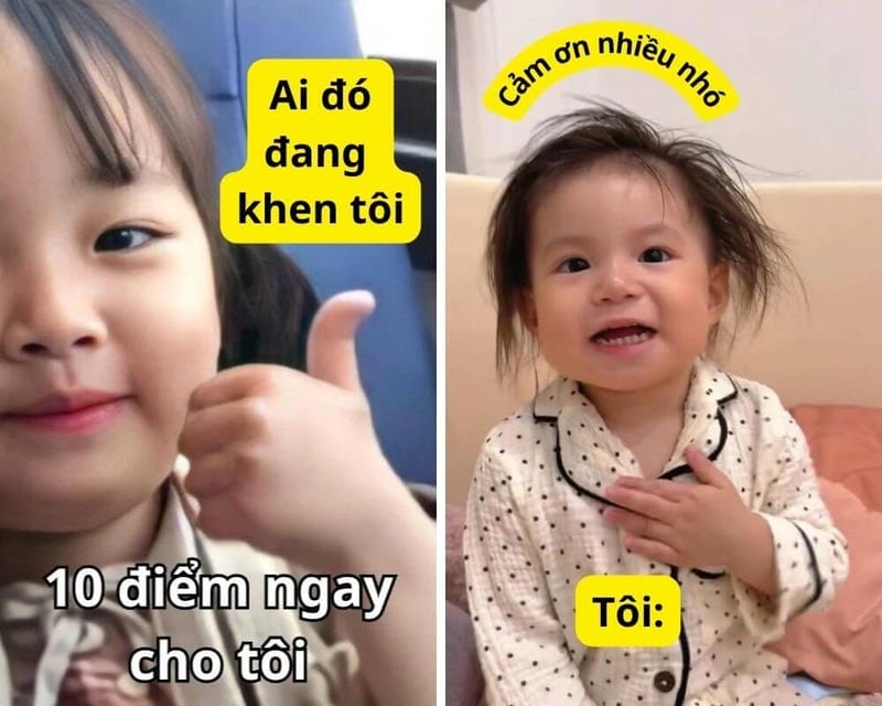 Lạc lối trong 10 điểm meme giải trí