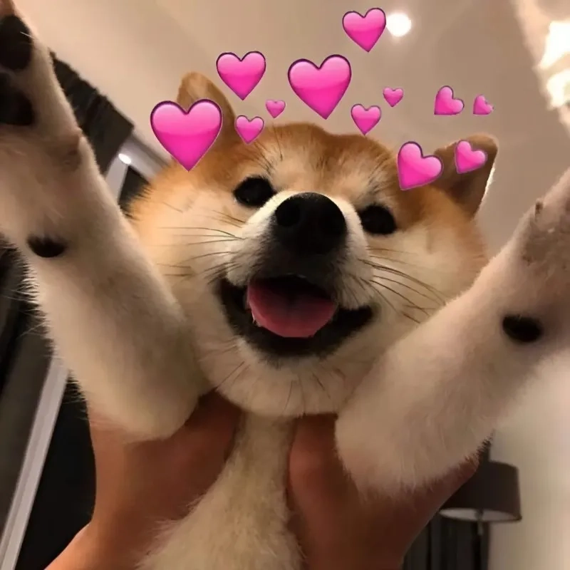 Ngắm nhìn vẻ đẹp ảnh đại diện meme ngầu