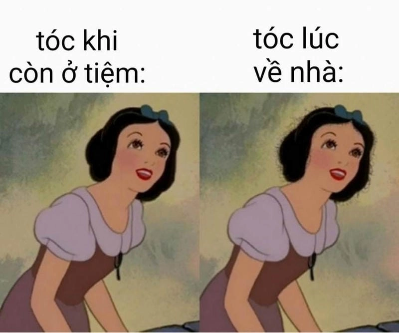 Tìm hiểu sức hút của ảnh meme chế