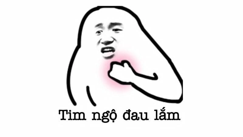 Cùng cười với những ảnh meme hài hước khó đỡ vui nhộn