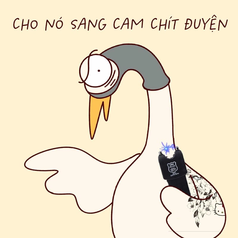 Ngắm nhìn vẻ đẹp ảnh meme hài hước khó đỡ đời sống