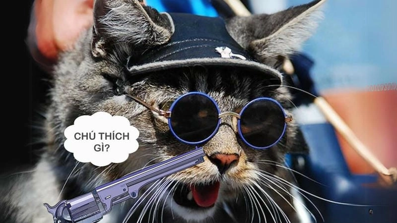 Sưu tầm những bức ảnh meme hài hước khó đỡ giải trí