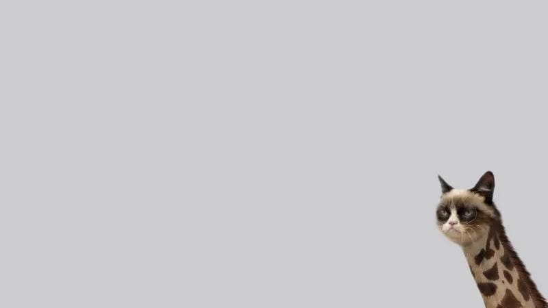 Săn lùng những khoảnh khắc ảnh nền meme viral