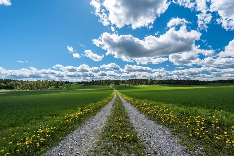 Ngắm ảnh phong cảnh bầu trời đêm huyền ảo và lãng mạn