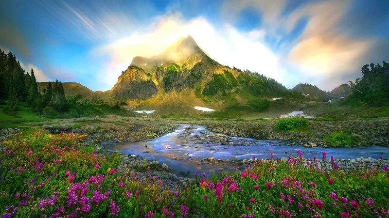 Chiêm ngưỡng ảnh phong cảnh đẹp thành phố hiện đại và sôi động