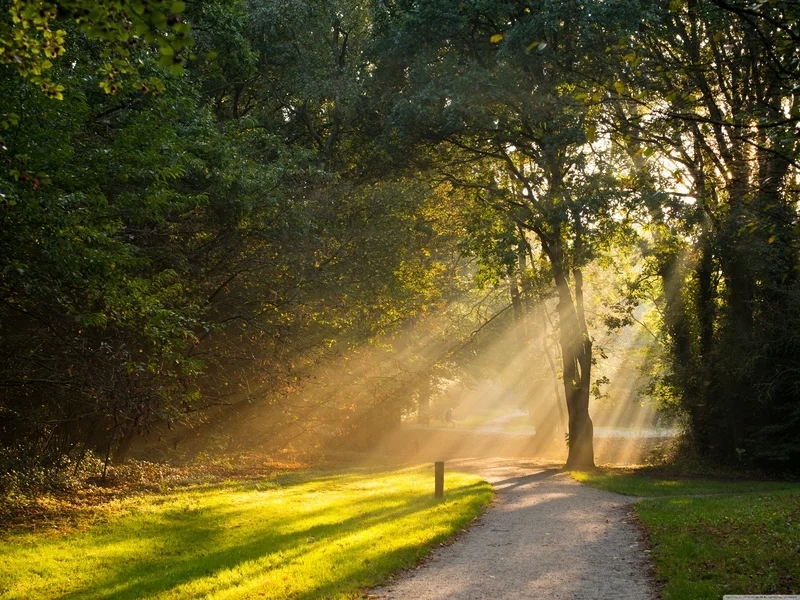 Tận hưởng vẻ đẹp của ảnh cảnh đẹp buồn đầy tâm trạng