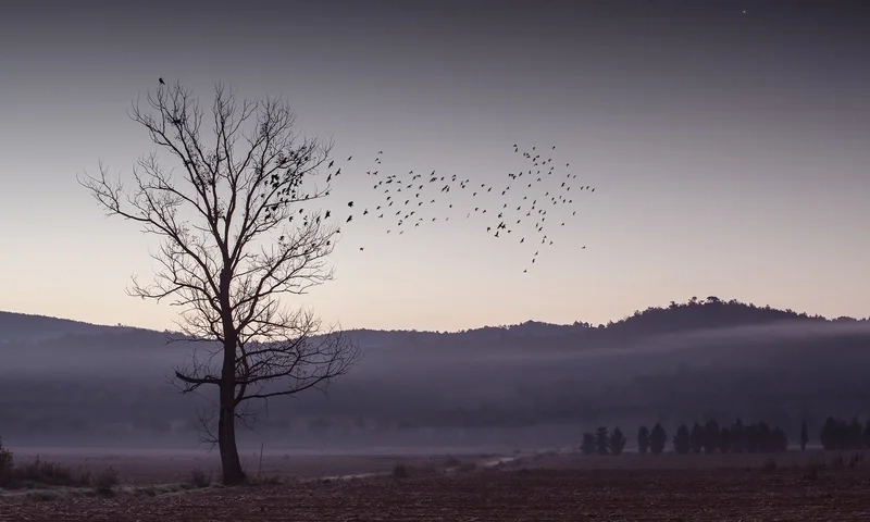 Chọn hình nền phong cảnh buồn đẹp cho góc riêng