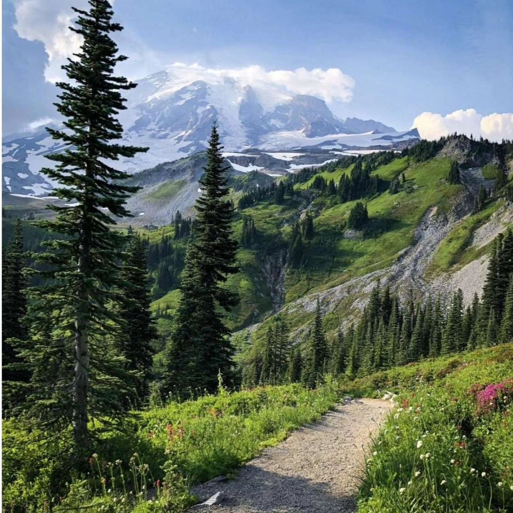 Khám phá ảnh phong cảnh đẹp rực rỡ sống động đầy màu sắc