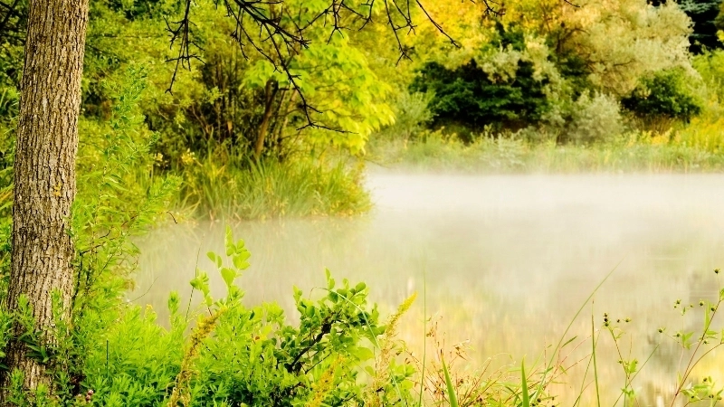 Trải nghiệm ảnh phong cảnh đẹp 4k chất lượng siêu cao