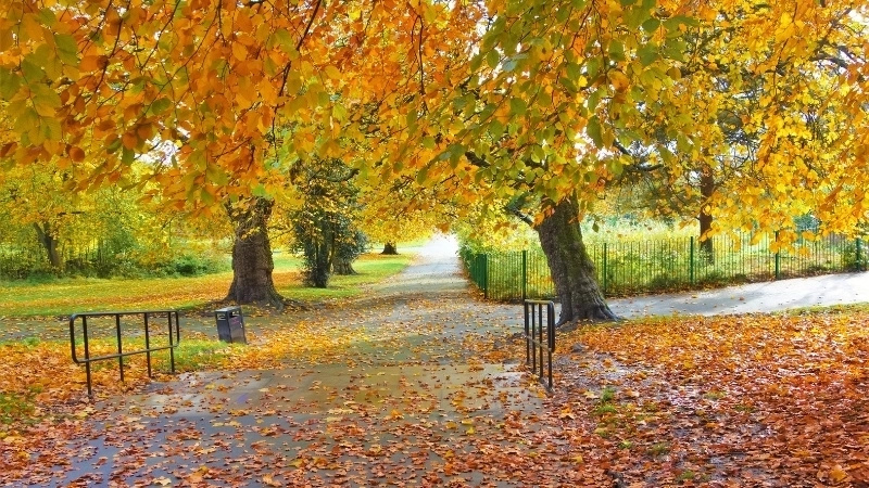 Cập nhật hình nền phong cảnh đẹp 3d cho máy tính đẹp mắt