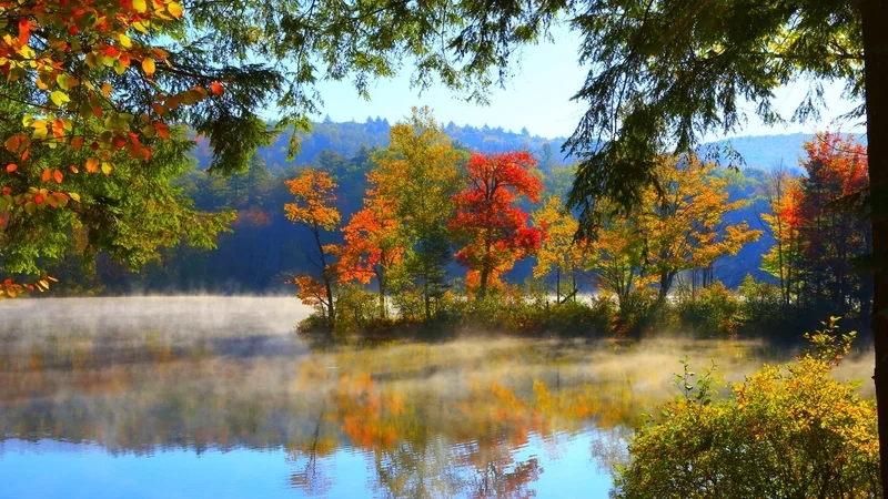 Thưởng thức ảnh phong cảnh đẹp sống động mọi góc nhìn