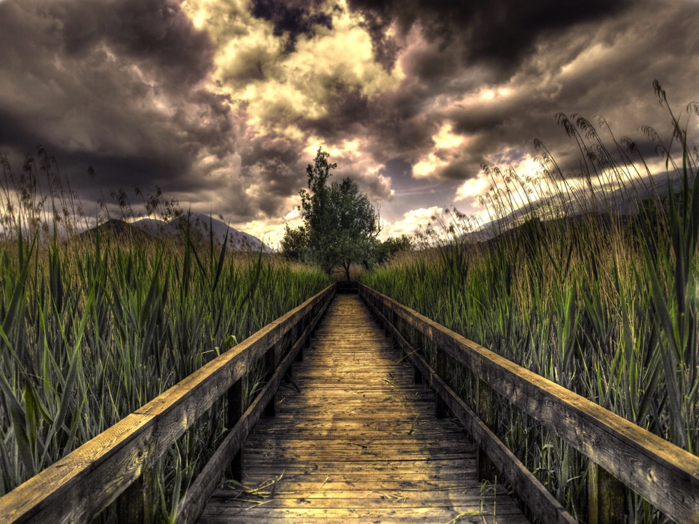 Khám phá ảnh phong cảnh buồn mang nỗi nhớ xa xăm