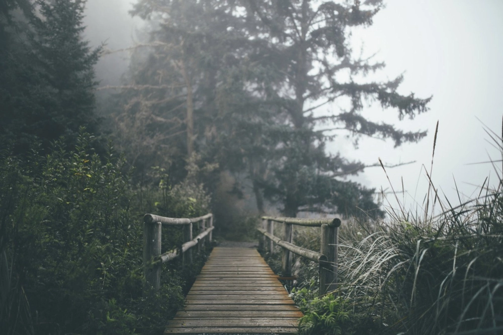 Ngắm ảnh phong cảnh buồn tâm trạng để thấy lòng nhẹ nhàng