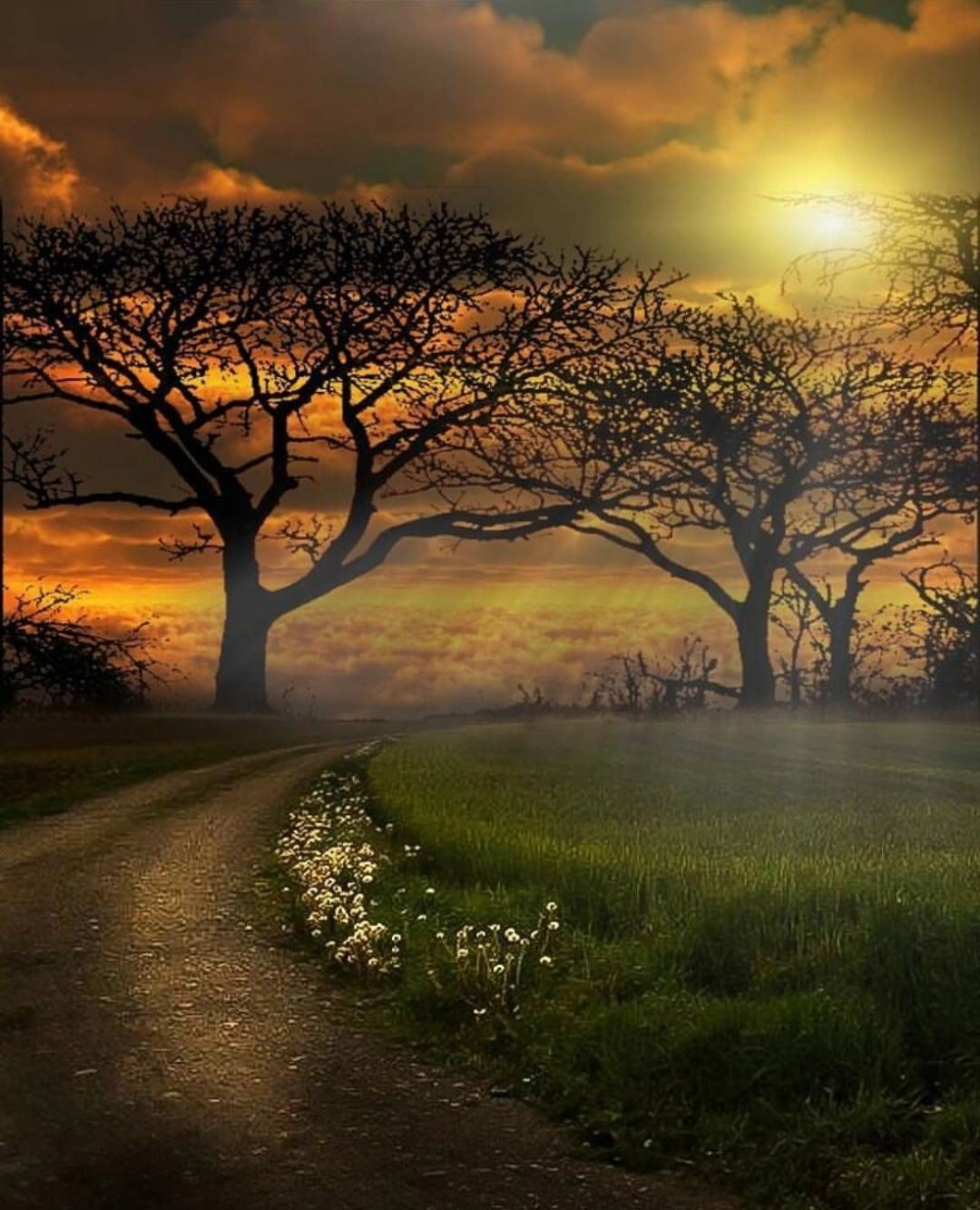 Cảm xúc dâng trào khi nhìn ảnh cảnh buồn đẹp