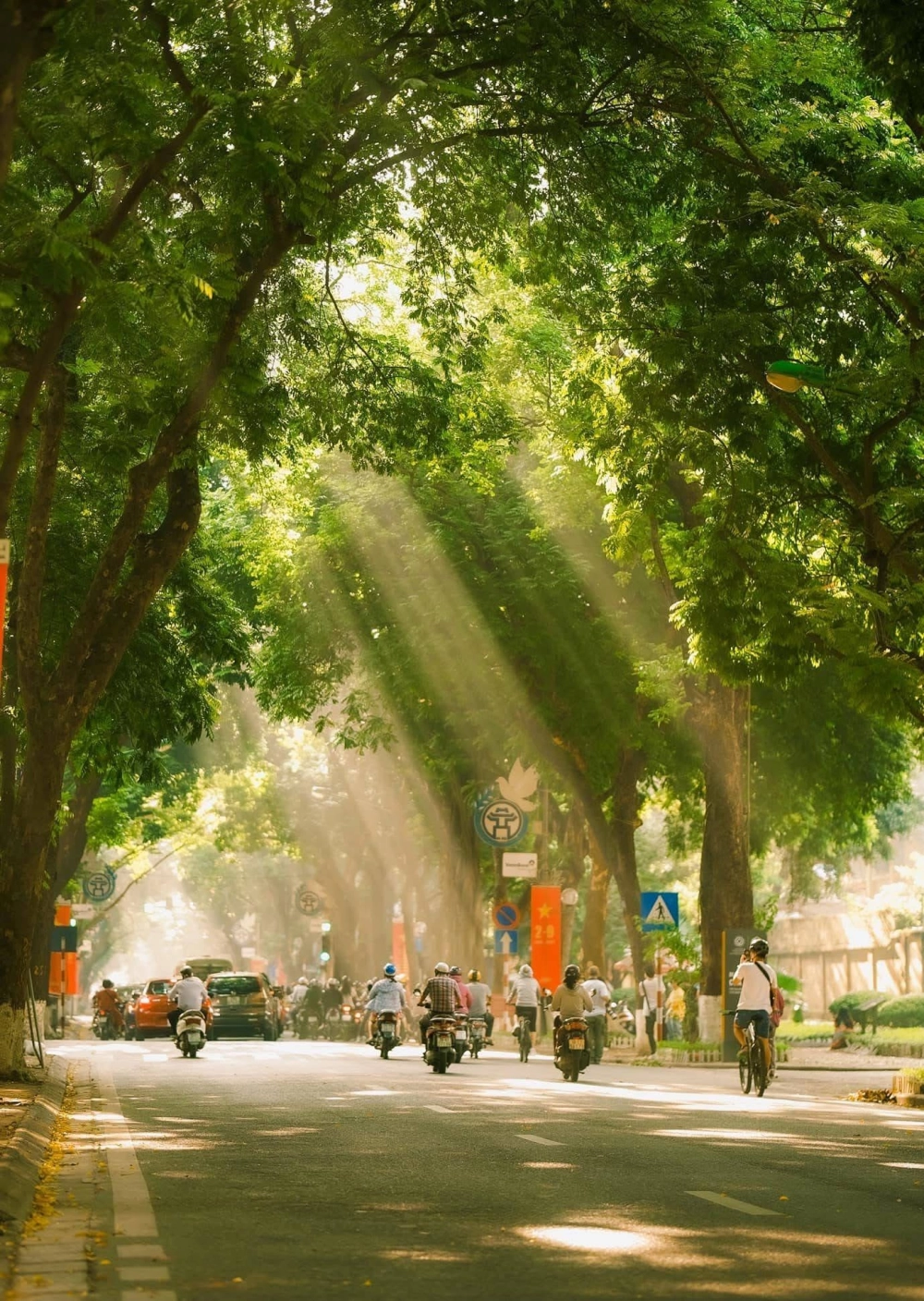 Tận hưởng phong cảnh đường phố nhộn nhịp mỗi ngày