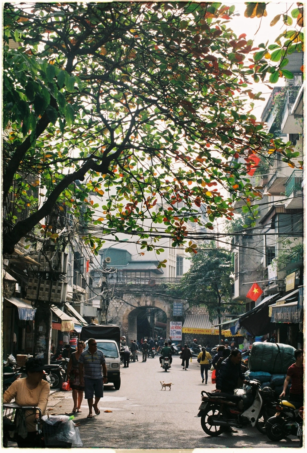 Ngắm ảnh đường phố Sài Gòn đẹp và sống động