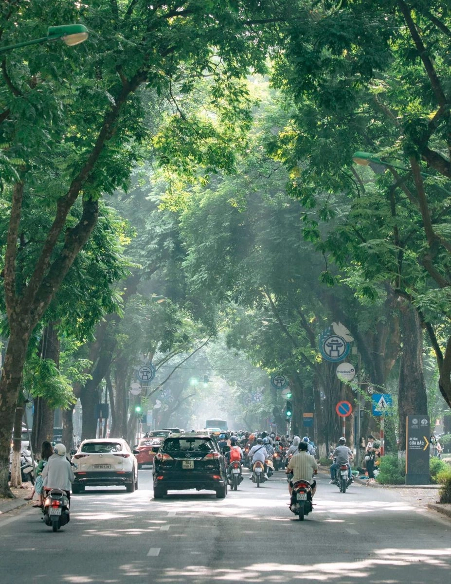 Thư giãn cùng ảnh phong cảnh đường phố chill nhẹ nhàng