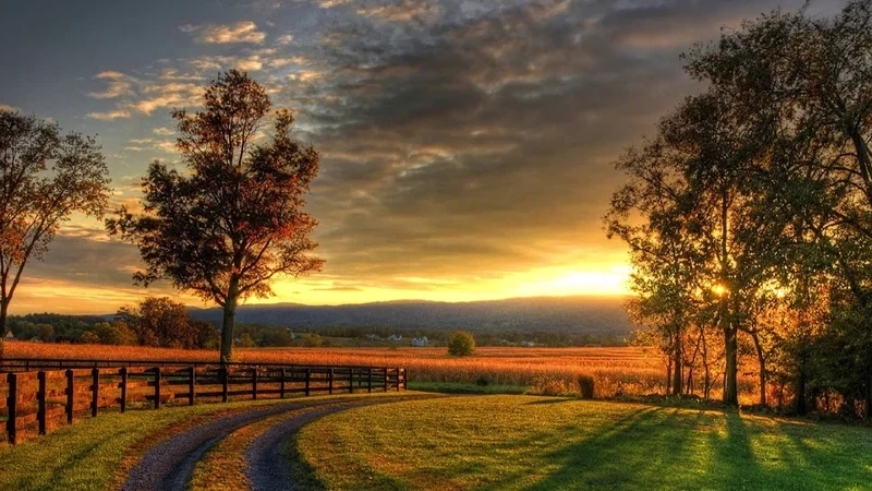 Thư giãn cùng ảnh phong cảnh thiên nhiên lãng mạn dịu dàng