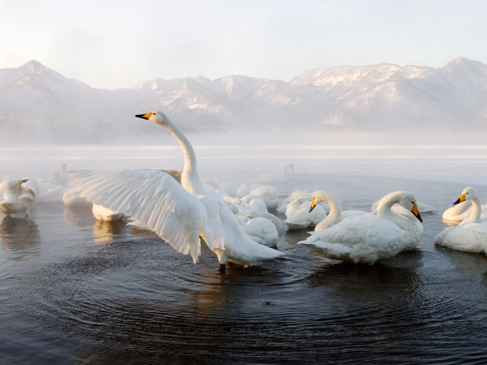 Chiêm ngưỡng phong cảnh nhật đẹp như tranh vẽ thiên nhiên