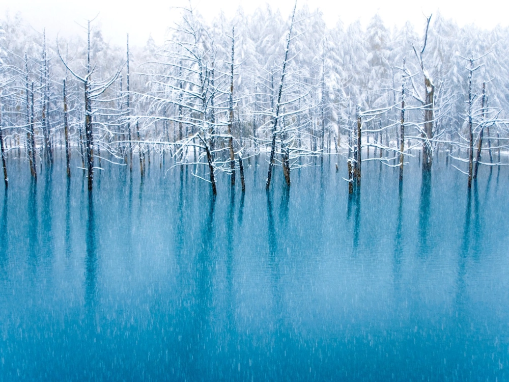 Lựa chọn ảnh phong cảnh Nhật Bản đẹp cho không gian sống