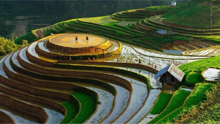 Khám phá phong cảnh nước Mỹ đẹp mắt cho mọi du khách