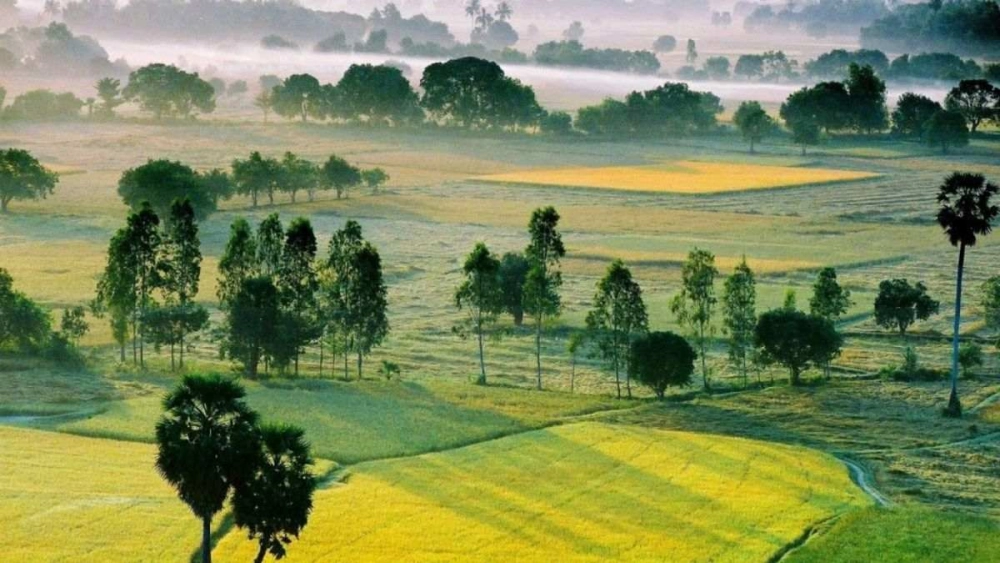 Khám phá ảnh phong cảnh quê hương việt nam giản dị mà thơ mộng