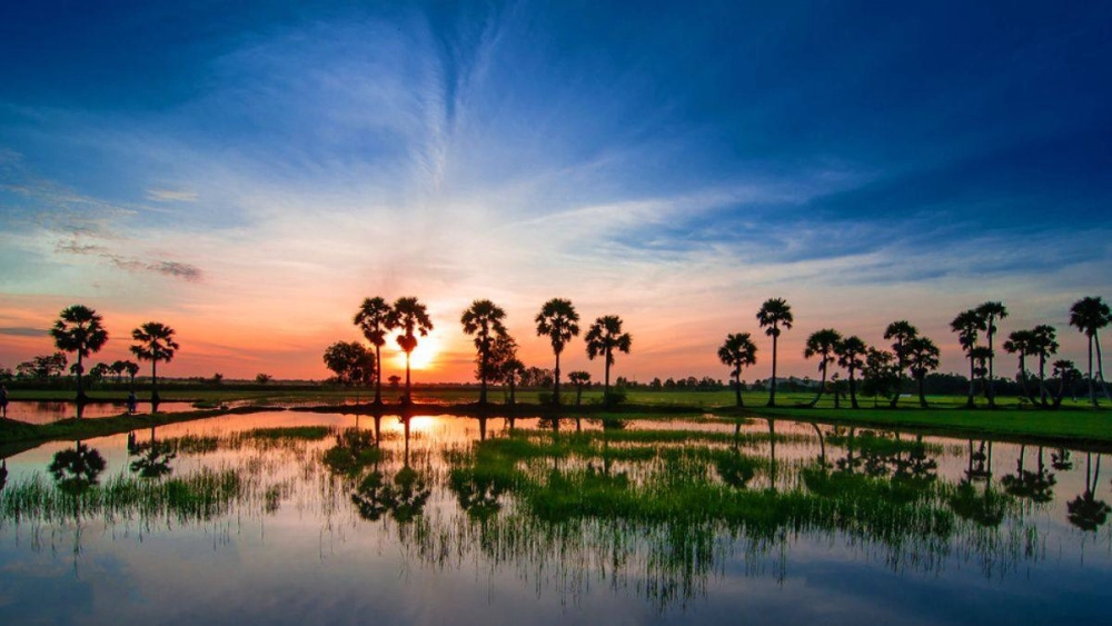 Ngắm hình ảnh phong cảnh đẹp ở việt nam rực rỡ sắc màu thiên nhiên