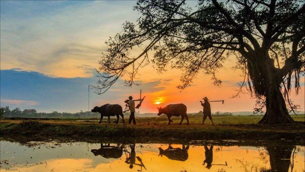 Chiêm ngưỡng ảnh phong cảnh thiên nhiên việt nam trong lành và xanh mát