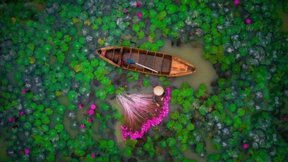 Thả hồn vào ảnh phong cảnh làng quê việt nam bình dị và thân quen