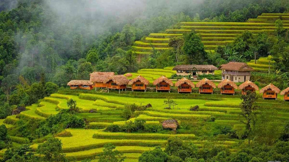 Khám phá ảnh phong cảnh việt nam tuyệt đẹp từ núi non đến biển xanh