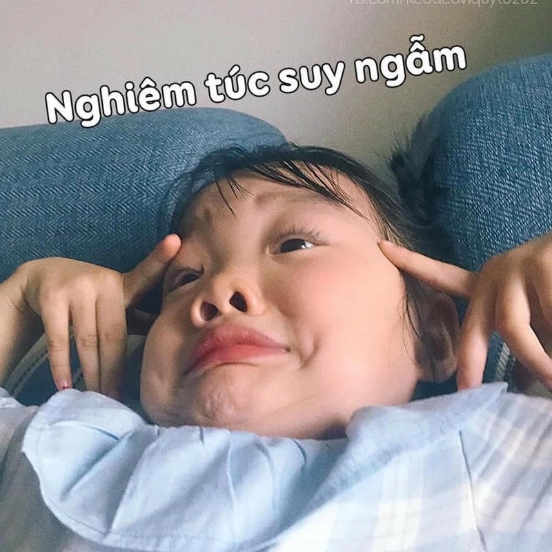 Tải ảnh hài bựa làm avatar siêu chất cho mọi nền tảng mạng xã hội